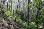 photo thumbnail #15