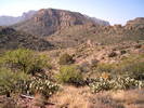 photo thumbnail #3