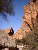 photo thumbnail #5