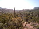 photo thumbnail #9