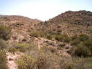 photo thumbnail #10