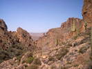photo thumbnail #12