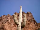 photo thumbnail #13