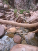 photo thumbnail #4