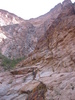 photo thumbnail #5