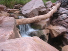 photo thumbnail #6