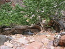 photo thumbnail #7