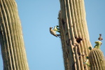 photo thumbnail #7