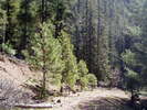 photo thumbnail #5