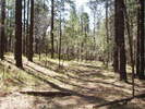 photo thumbnail #7