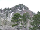 recent photo