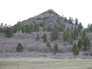 recent photo