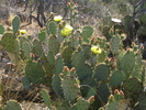 photo thumbnail #5