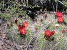 photo thumbnail #6