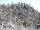 photo thumbnail #8