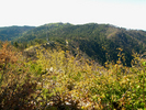 photo thumbnail #13