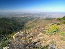 photo thumbnail #15