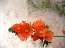 photo thumbnail #11