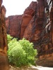 photo thumbnail #13