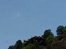 photo thumbnail #15