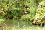 photo thumbnail #1