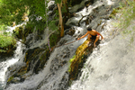 photo thumbnail #8