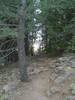 photo thumbnail #2