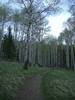 photo thumbnail #4