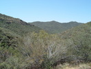photo thumbnail #7