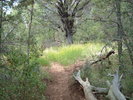 photo thumbnail #11