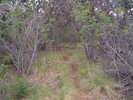 photo thumbnail #15