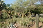 photo thumbnail #6