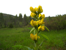 photo thumbnail #6