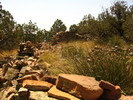 photo thumbnail #1