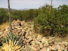 photo thumbnail #7