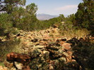 photo thumbnail #12