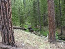 photo thumbnail #3