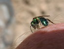photo thumbnail #9