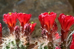 photo thumbnail #5