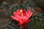 photo thumbnail #8