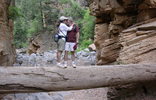 photo thumbnail #5