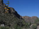 photo thumbnail #9