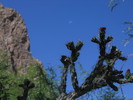 photo thumbnail #10