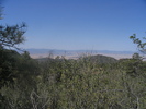 photo thumbnail #15