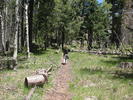 photo thumbnail #3