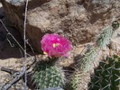 photo thumbnail #4