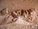 photo thumbnail #14
