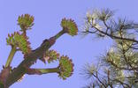 photo thumbnail #11