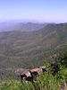 photo thumbnail #14