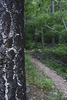 photo thumbnail #15